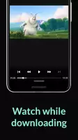 BitTorrent - Torrent Downloads